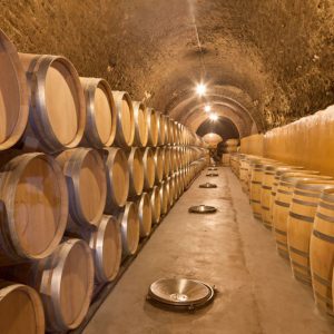 Tour del vino por la Ribera del Duero