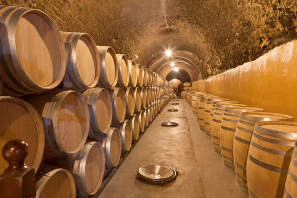 Tour del vino por la Ribera del Duero